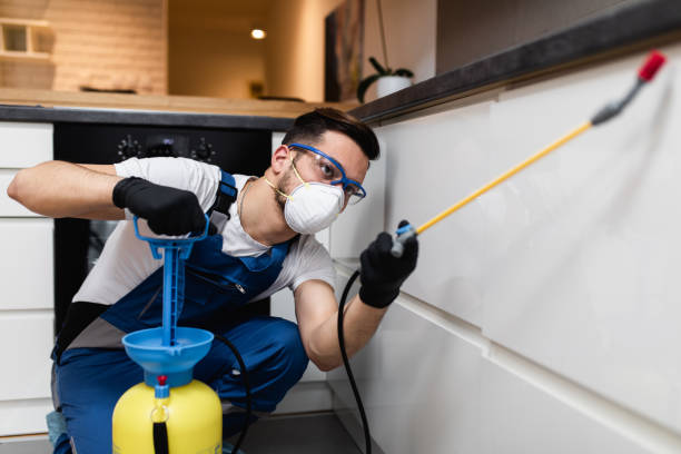 Best Best Pest Control Companies  in Three Lakes, FL