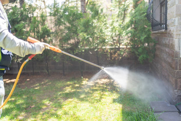 Best Mosquito Control Services  in Three Lakes, FL