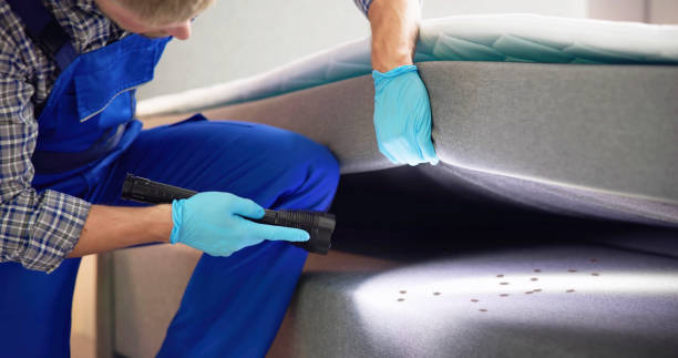 Trusted Three Lakes, FL Pest Control Experts