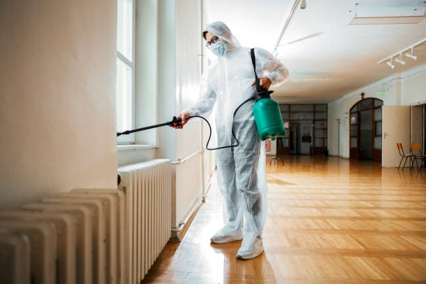 Best Local Pest Control Services  in Three Lakes, FL