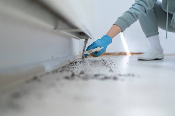 Best Residential Pest Control  in Three Lakes, FL